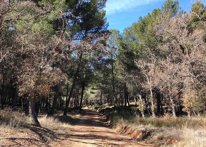 Casa Rural Tio Mora