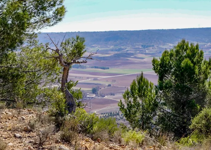 Casa Rural Tio Mora